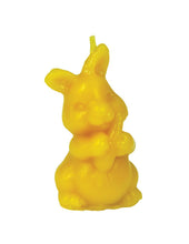 Load image into Gallery viewer, Rabbit with Carrot Candle Mould