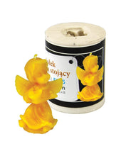 Load image into Gallery viewer, Angel with Harp Candle Mould