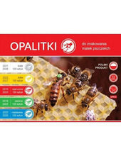 Load image into Gallery viewer, Polish Opalith - 5 Colours