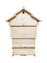 Load image into Gallery viewer, CDB Hive