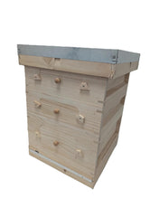 Load image into Gallery viewer, National Premium Observation Hive