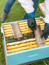 Load image into Gallery viewer, Formic Pro Varroa Treatment