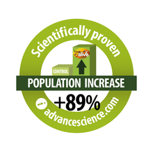 Load image into Gallery viewer, Hive Alive