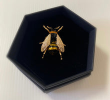 Load image into Gallery viewer, Bee Brooch - Gentle Drone