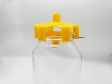 Load image into Gallery viewer, Wasp Trap for Jars