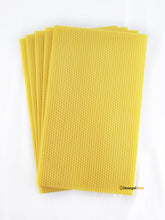 Load image into Gallery viewer, National Brood Premier Foundation (10 Pack, Unwired)