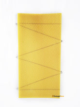 Load image into Gallery viewer, Rose Premier Foundation (10 Pack, Wired)