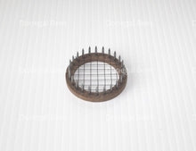 Load image into Gallery viewer, Crown of Thorns