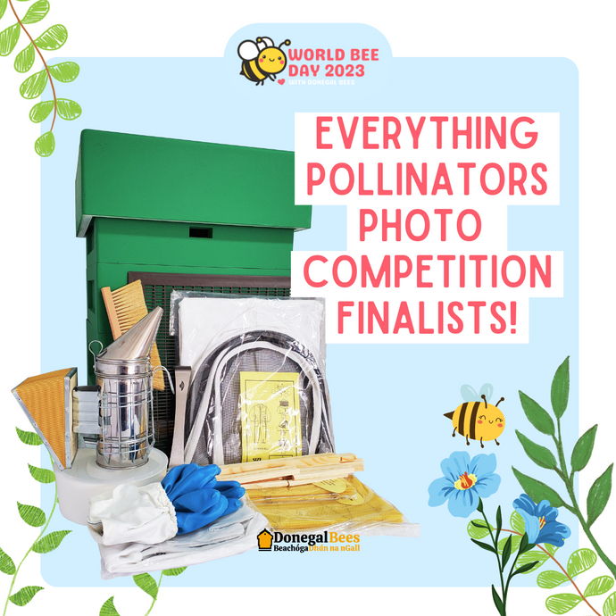 Everything Pollinators Finalists!