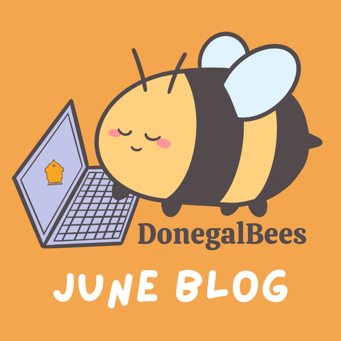 June Newsletter