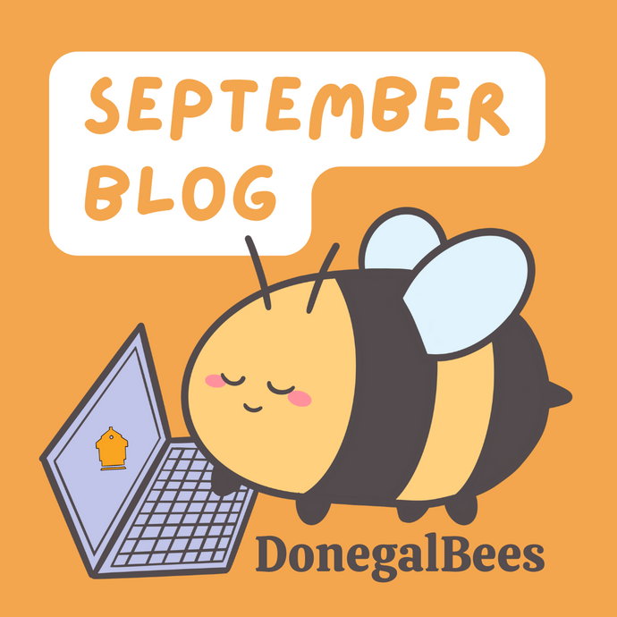 September Newsletter