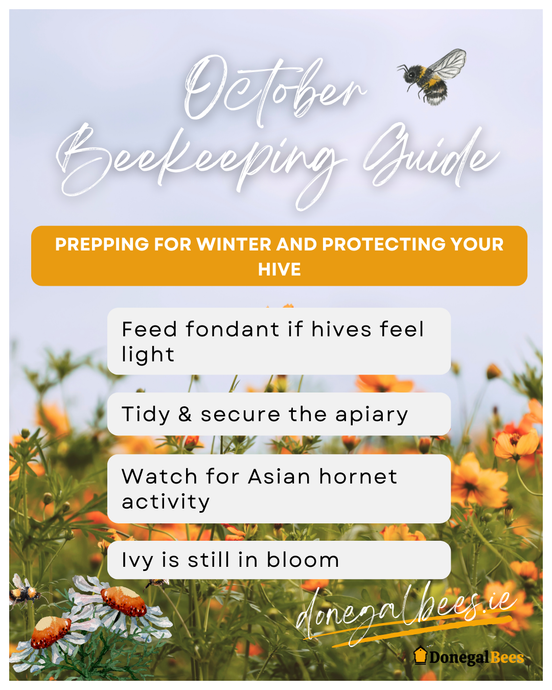 October Beekeeping Guide 2025
