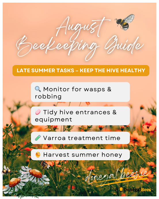 August Beekeeping Guide 2025