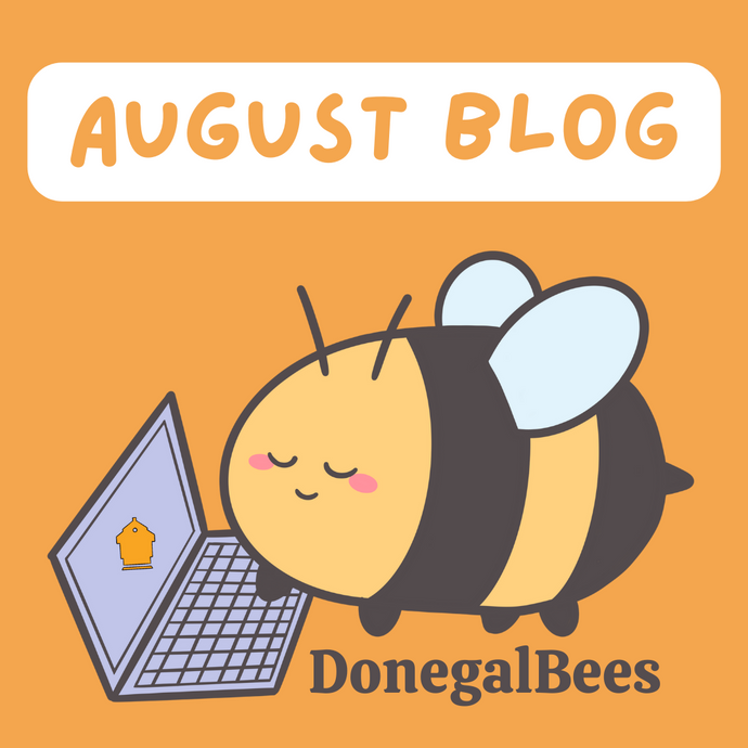August Newsletter