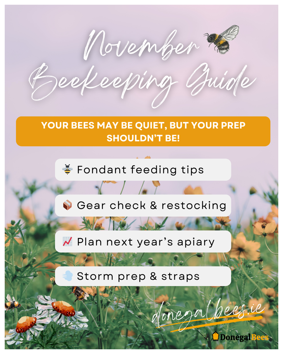 November Beekeeping Guide | Hive Checks, Planning Ahead & Asian Hornet ...