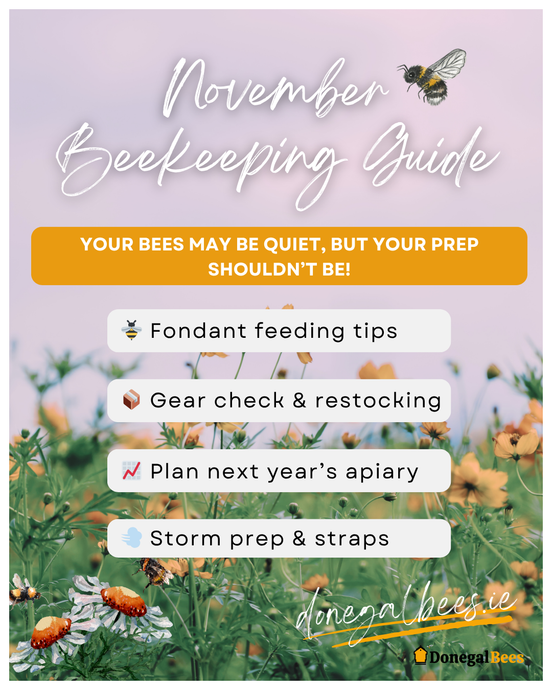 November Beekeeping Guide 2025