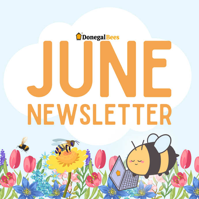 June 2023 Newsletter