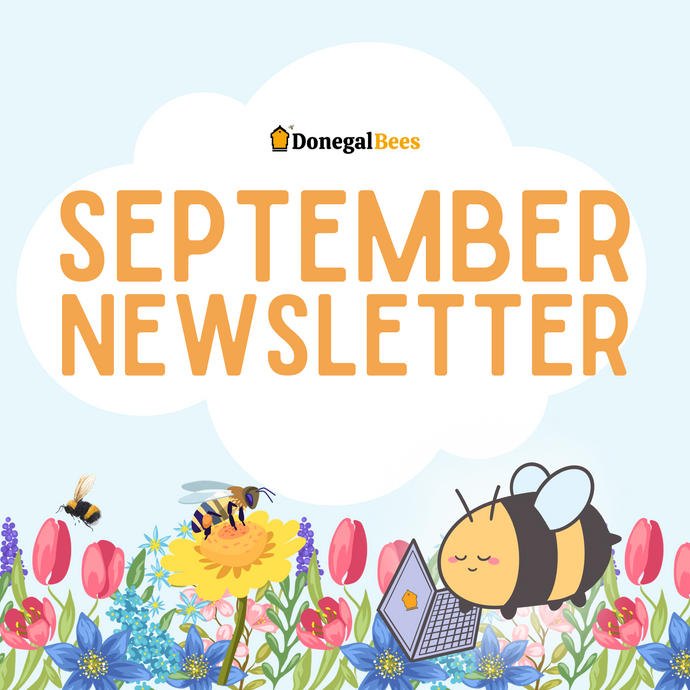 September Newsletter 2023