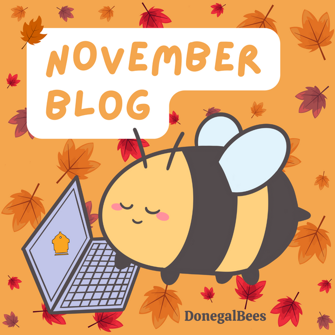 November Newsletter