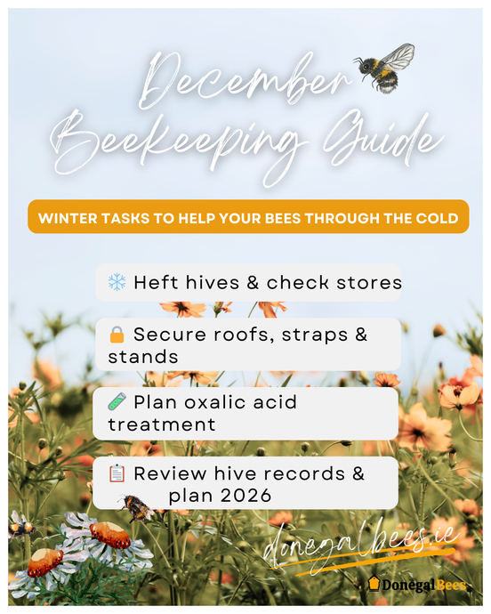 December Beekeeping Guide 2025