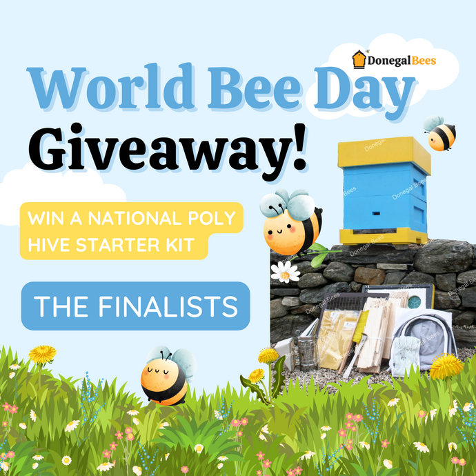 Everything Bees! Competition Finalists