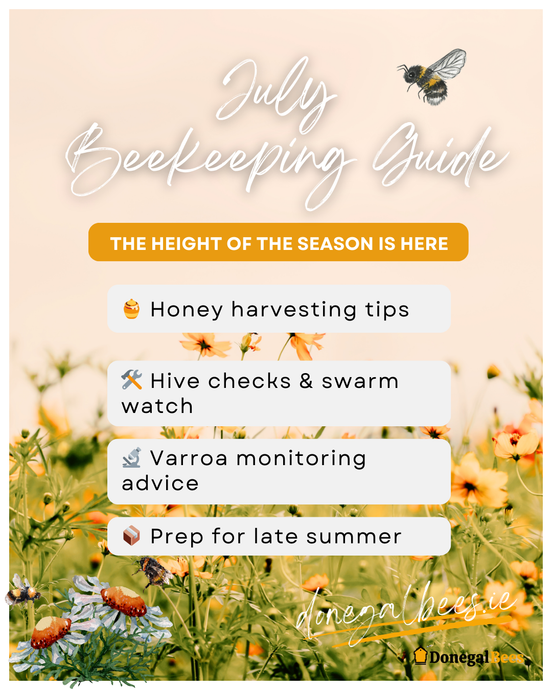 July Beekeeping Guide 2025