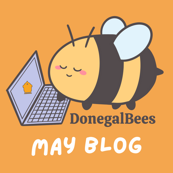 Donegal Bees May Blog 