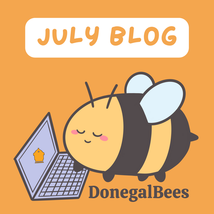 July Newsletter
