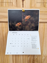 Load image into Gallery viewer, Irish Pollinators 2026 Calendar
