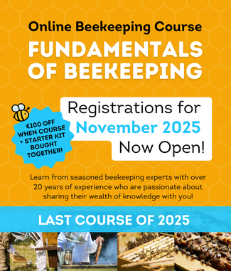 Fundamentals of Beekeeping Online Course