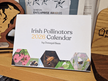 Load image into Gallery viewer, Irish Pollinators 2026 Calendar
