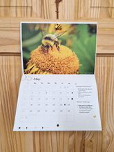 Load image into Gallery viewer, Irish Pollinators 2026 Calendar
