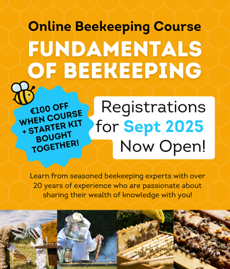 Fundamentals of Beekeeping Online Course