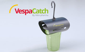 VespaCatch Original