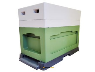 National Poly Nucleus Hive