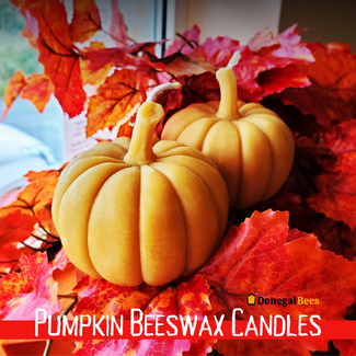 Pumpkin Beeswax Candle