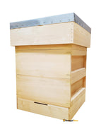 Rose Hive