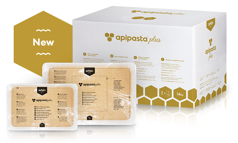 Apipasta Plus