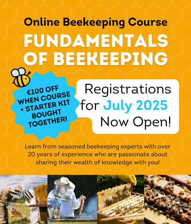 Fundamentals of Beekeeping Online Course