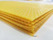 Load image into Gallery viewer, Commercial Brood Premier Foundation (10 Pack, Unwired)

