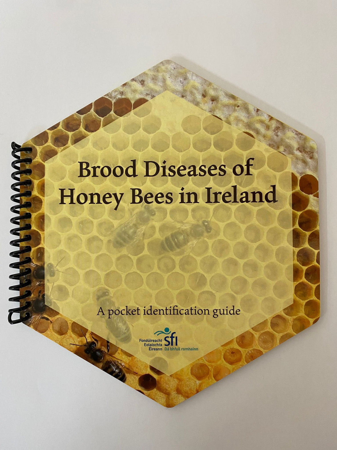 Book: Brood Diseases of Honeybees in Ireland