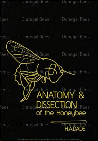 Book: Anatomy & Dissection of the Honeybee