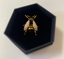 Load image into Gallery viewer, Bee Brooch - Gentle Drone
