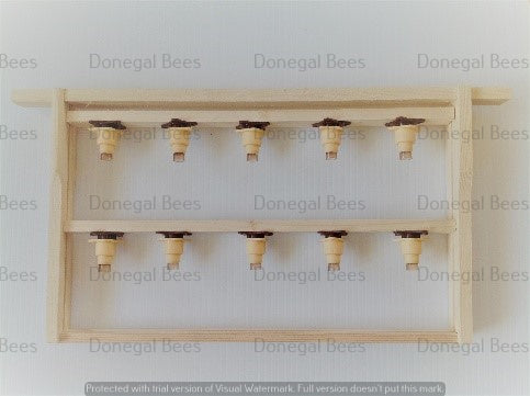 National Queen Rearing Frame