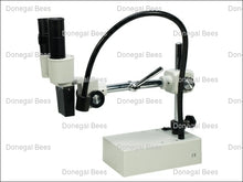 Load image into Gallery viewer, BM1 Long arm Stereomicroscope
