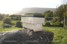 Load image into Gallery viewer, Langsroth Observation Hive

