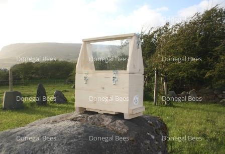 14 x 12  Observation Hive